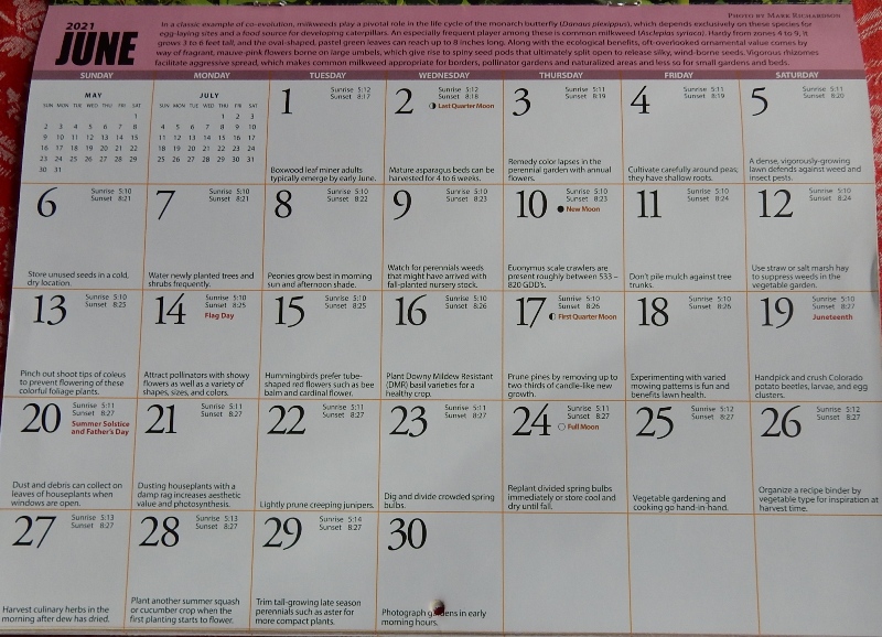 1216 UMass calendar 4 Commonweeder